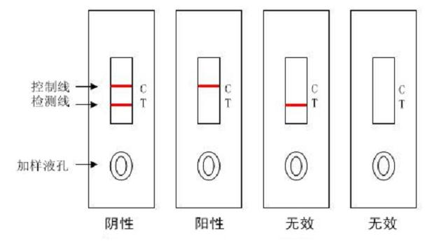 檢測(cè)卡使用_副本_副本1