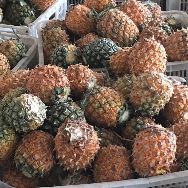 菠蘿原果展示.webp