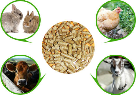 顆粒飼料適用于牛羊豬兔雞等禽畜養(yǎng)殖