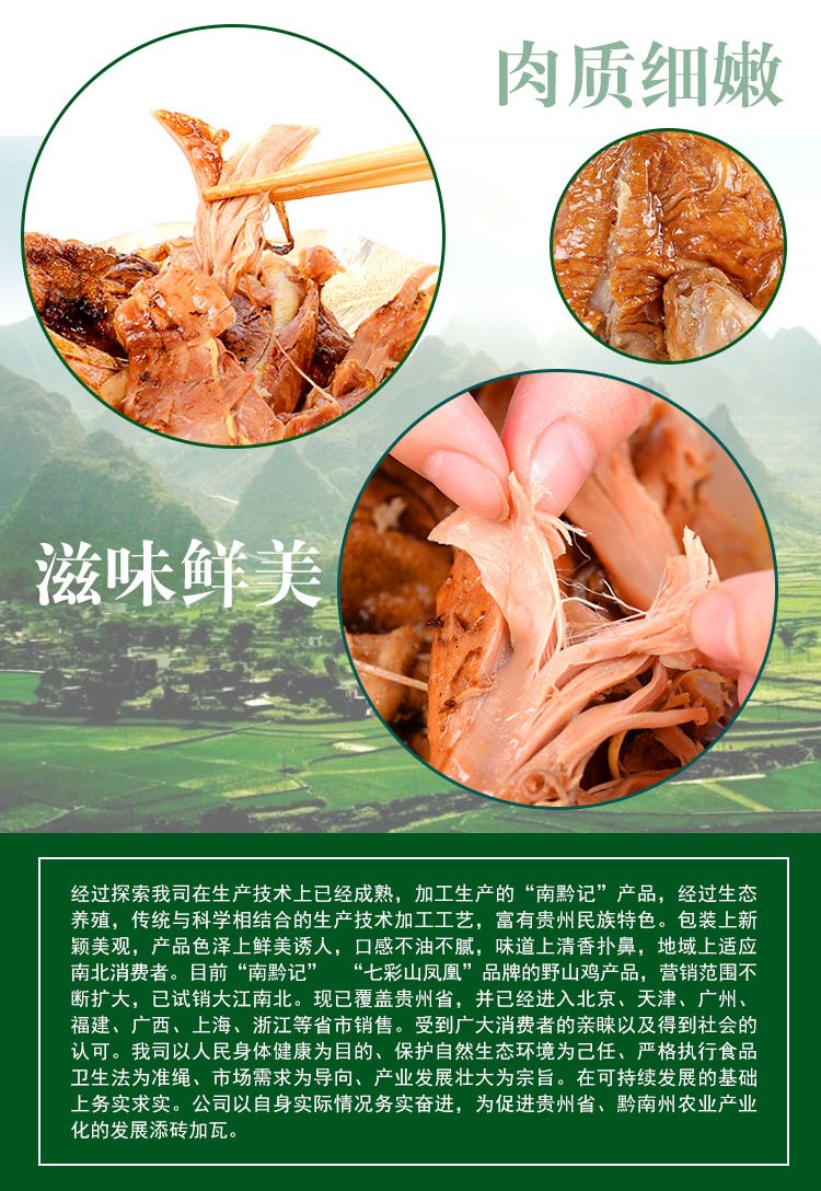 醬制雞肉細節展示