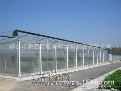 溫室大棚PE陽光板圖片