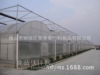 溫室大棚PE陽光板圖片