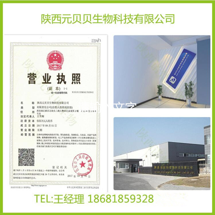 聯(lián)系人