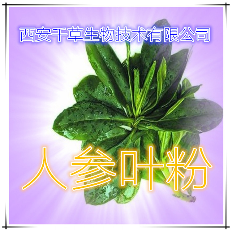 人參葉粉