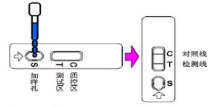 沙丁胺醇檢測卡