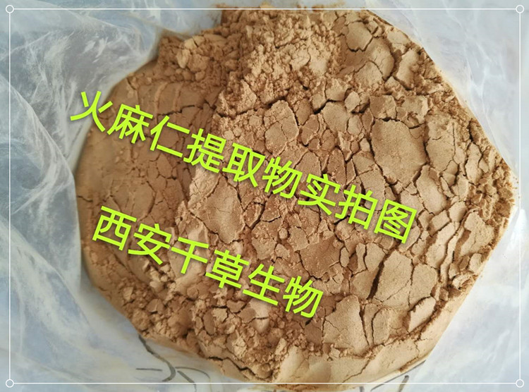 火麻仁實拍圖
