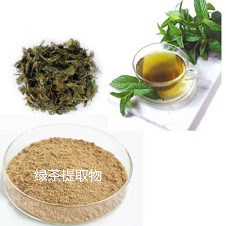 綠茶提取物