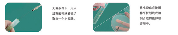 菌種復(fù)蘇流程