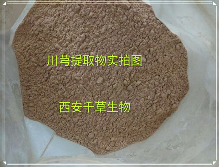 桂枝實拍圖