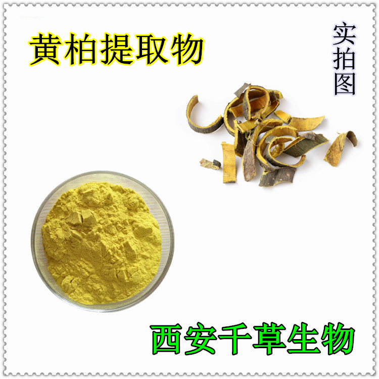 絲瓜絡實拍圖
