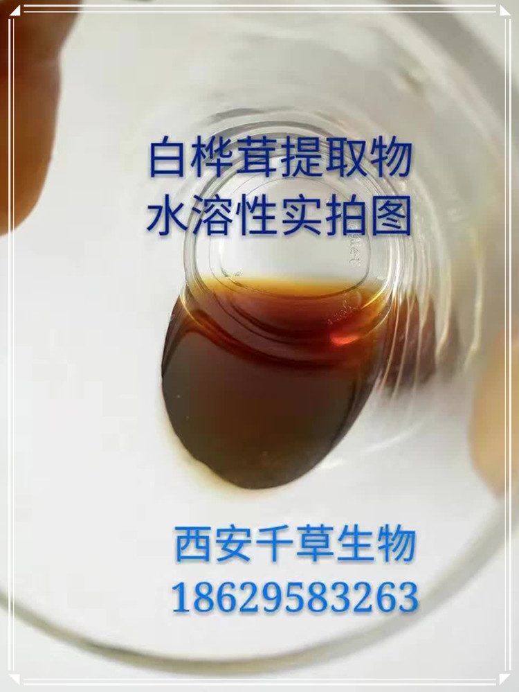 白樺茸實(shí)拍圖0