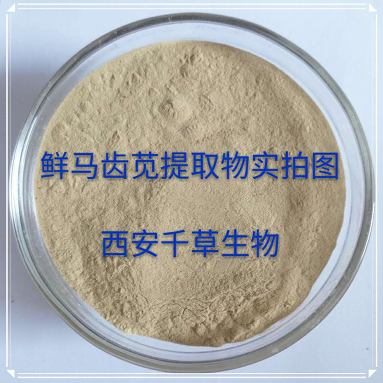 鮮馬齒莧實(shí)拍圖0