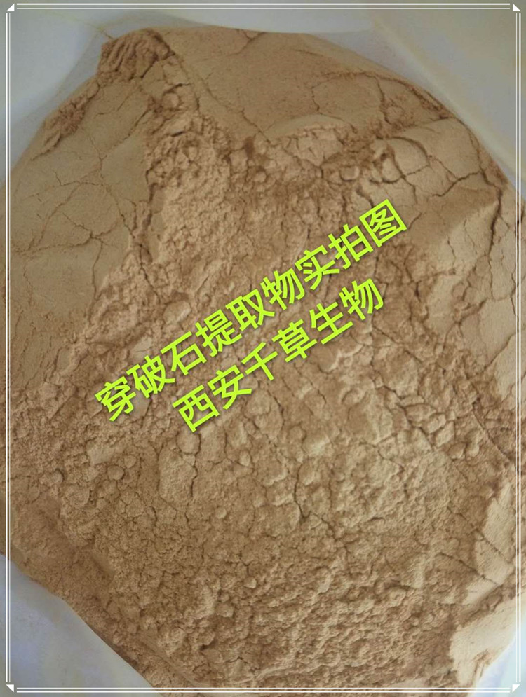穿破石實(shí)拍圖