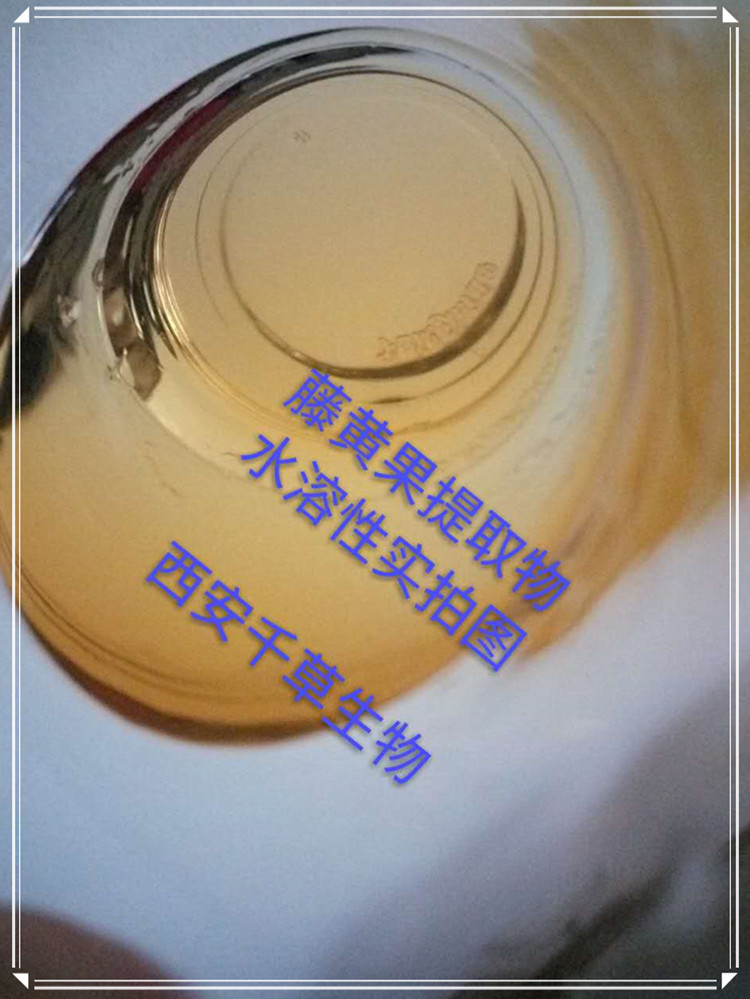 果實(shí)拍圖0