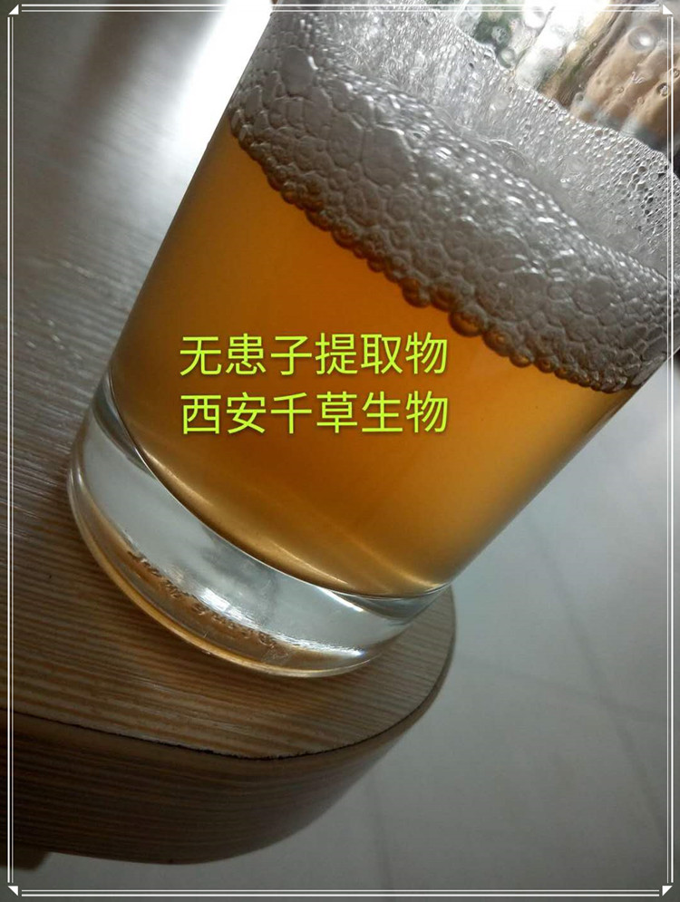 無(wú)患子實(shí)拍圖