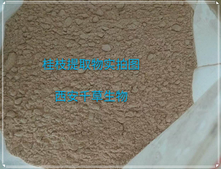 桂枝實(shí)拍圖