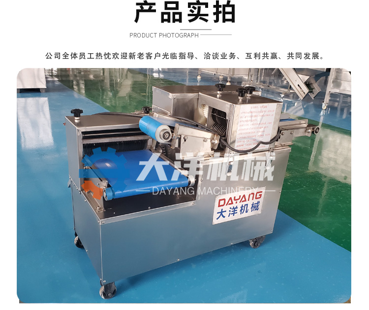 鮮肉切條切丁機_09