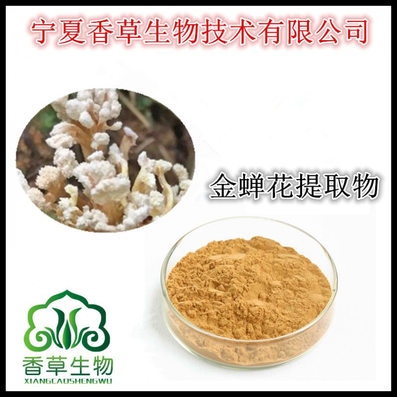 金蟬花提取物