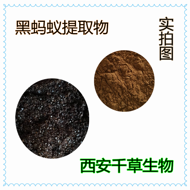 黑螞蟻提取物