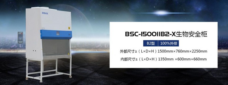 15B2美圖