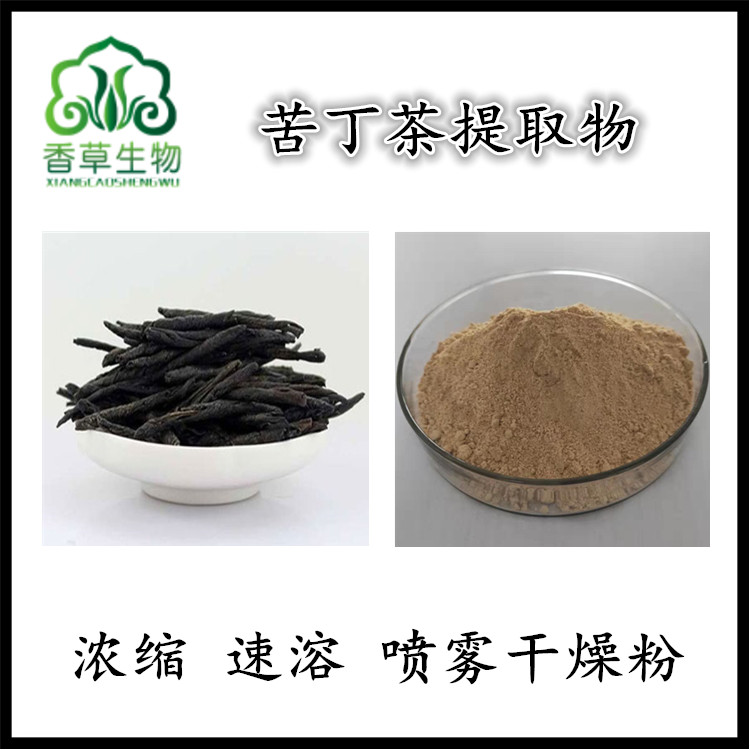 苦丁茶提取物