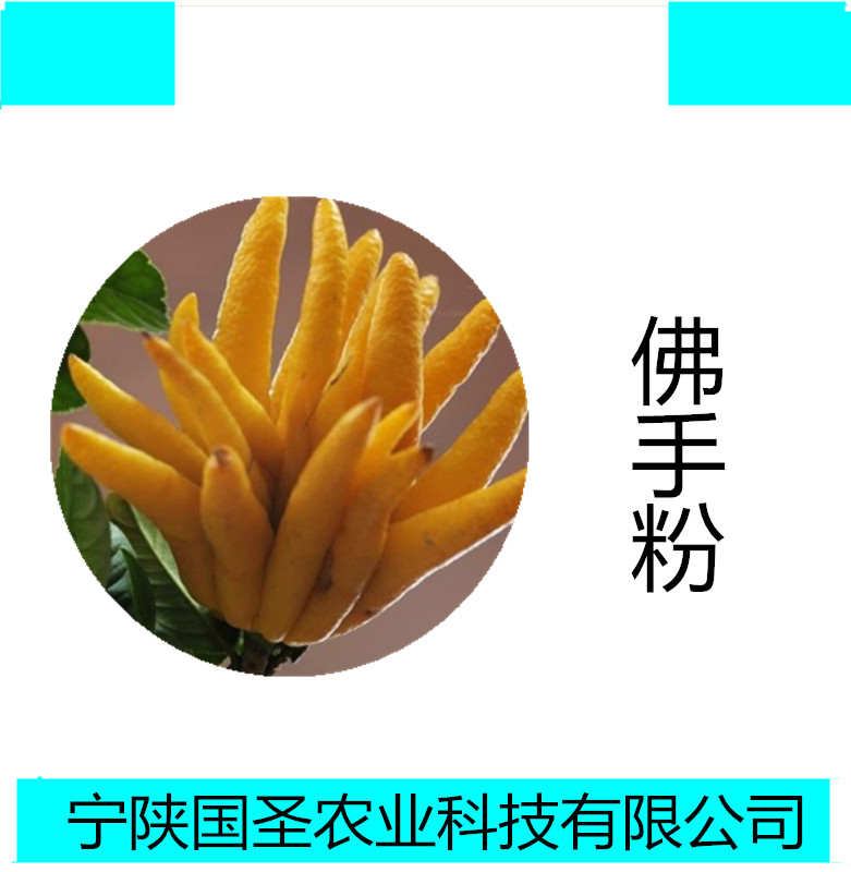佛手_副本