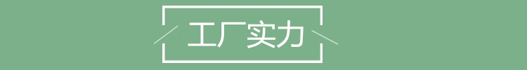 工廠實力