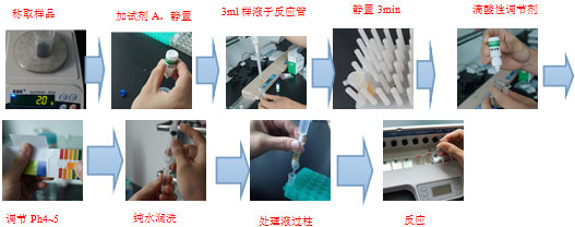 茶葉檢測卡實(shí)驗(yàn)流程圖