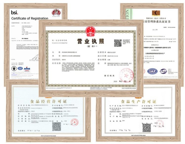 公司資質1