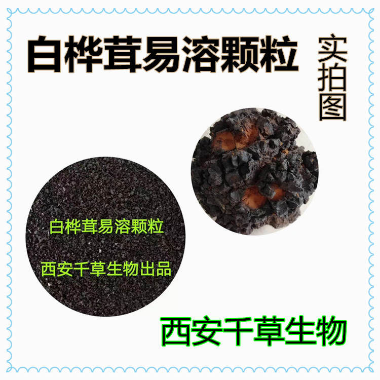 白樺茸易溶顆粒