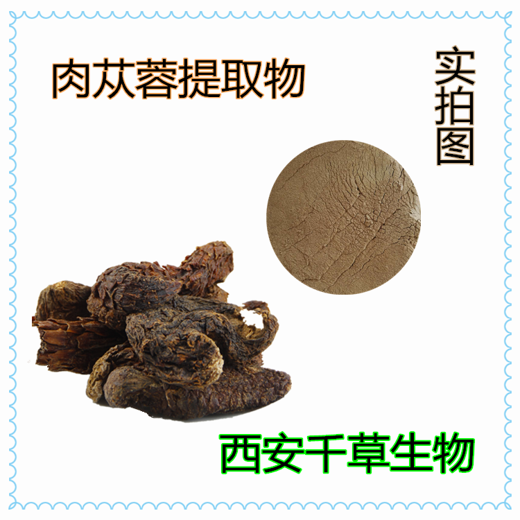 肉蓯蓉提取物
