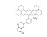 蛋白質、多肽、核酸等生物分子標記染料解決方案----Lumiprobe(5)|高校教學與科研實驗|上海西寶生物科技有限公司-咨詢電話：400-021-8158