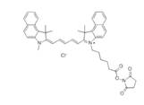 蛋白質、多肽、核酸等生物分子標記染料解決方案----Lumiprobe(5)|高校教學與科研實驗|上海西寶生物科技有限公司-咨詢電話：400-021-8158