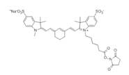 蛋白質、多肽、核酸等生物分子標記染料解決方案----Lumiprobe(5)|高校教學與科研實驗|上海西寶生物科技有限公司-咨詢電話：400-021-8158