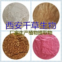 水溶性藿香提取物粉 廠家生產藿香提純濃縮浸膏