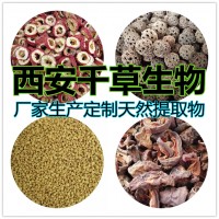 地骨皮天然濃縮流浸膏 可按需定制地骨皮水溶粉