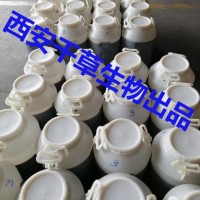 菊花天然濃縮浸膏 實力廠家供應各類浸膏