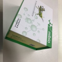 大鼠抗胰蛋白酶(AT)ELISA試劑盒