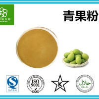 青果果粉 青果粉/橄欖粉 源頭廠家 斯諾特集團工廠批發