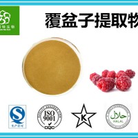 覆盆子粉 覆盆子提取粉 藥食同源粉 源頭廠家 批發價格