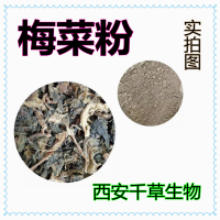 梅菜粉梅菜原味精粉 千草生物廠家生產梅菜細粉
