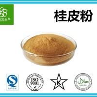 桂皮粉 桂皮提取物10:1 斯諾特集團工廠直銷
