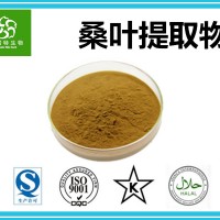 成熟桑葉粉 桑葉速溶粉 速溶桑葉粉 專業提取廠家供應