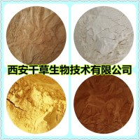 龍牙草提取物 龍牙草濃縮粉 龍牙草浸膏粉 龍牙草水溶粉