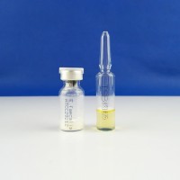 糞腸球菌ATCC29212