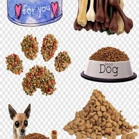 全自動狗糧膨化機械    寵物飼料生產線設備