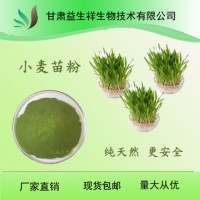 小麥苗粉 小麥草粉 99.9%   小麥若葉青汁粉