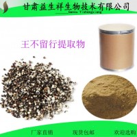 王不留行粉  王不留行提取物10:1