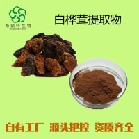 白樺榕提取物 食品原料粉