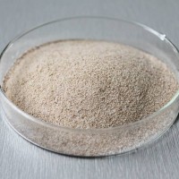 食品級中性蛋白酶酶制劑廠家直銷批發價格產品性能